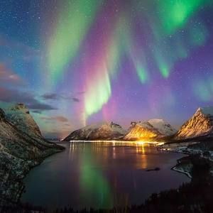 Meet your Posher, Vidauri